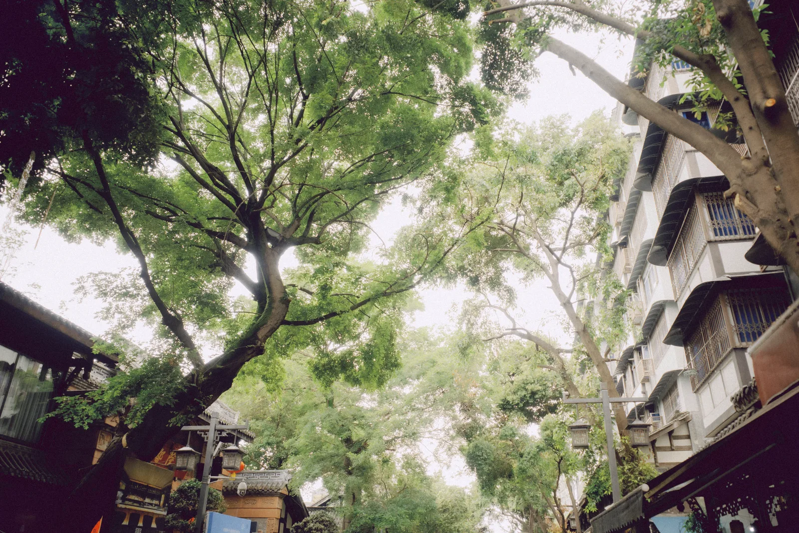 R0005884