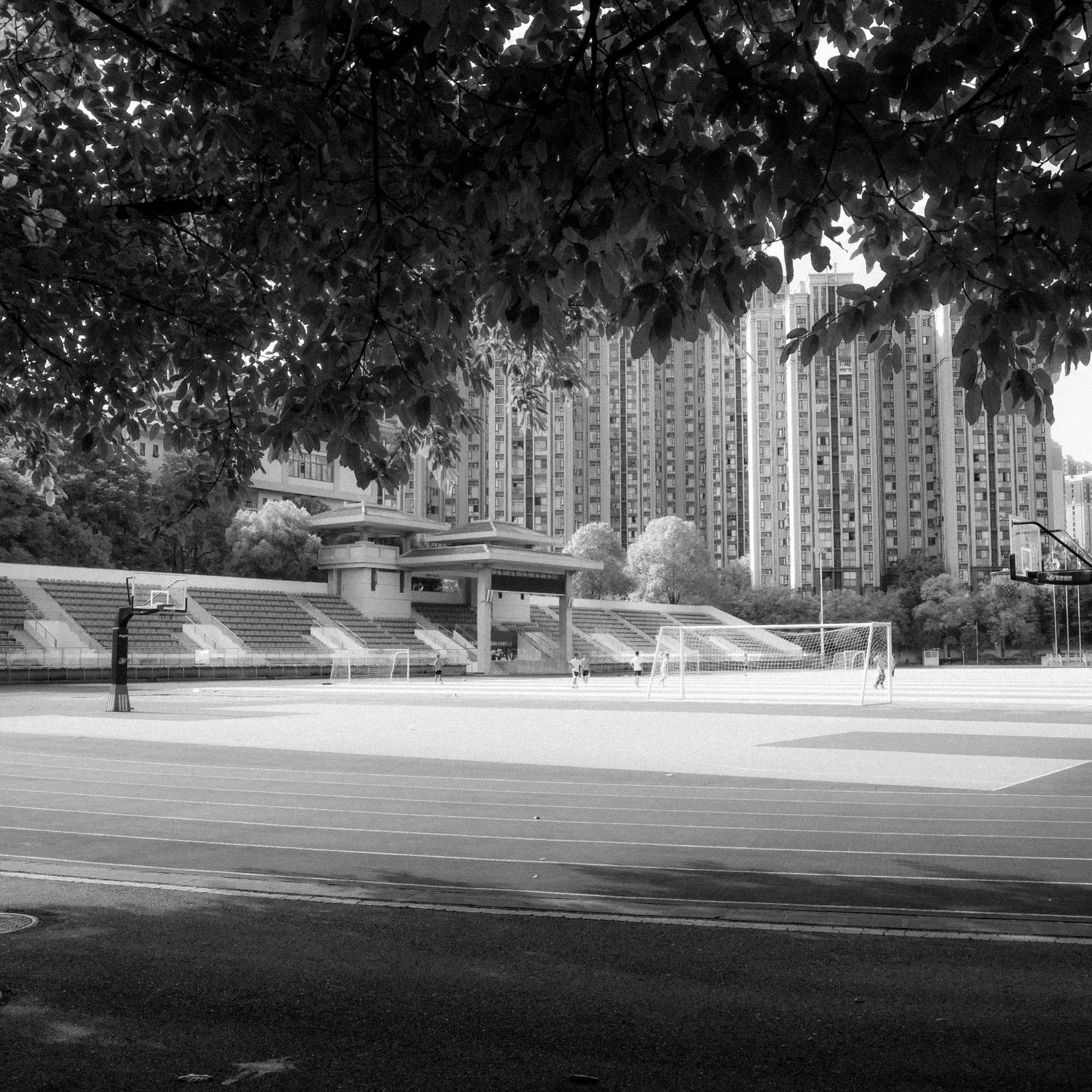 R0006166