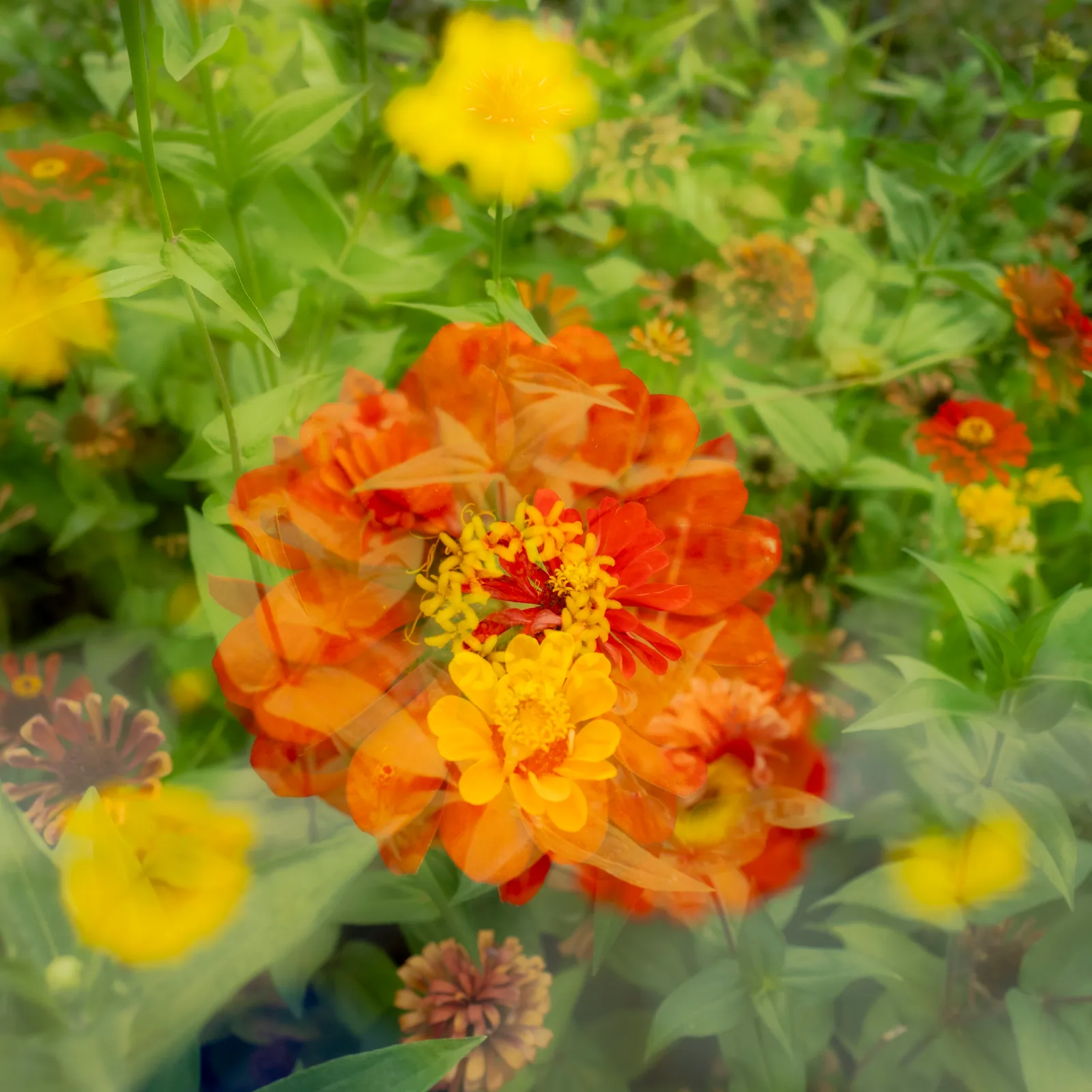 R0006358