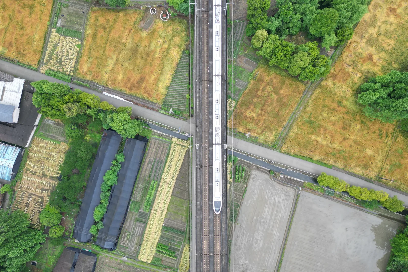dji_fly_20240504_030836_397_1714703360522_photo